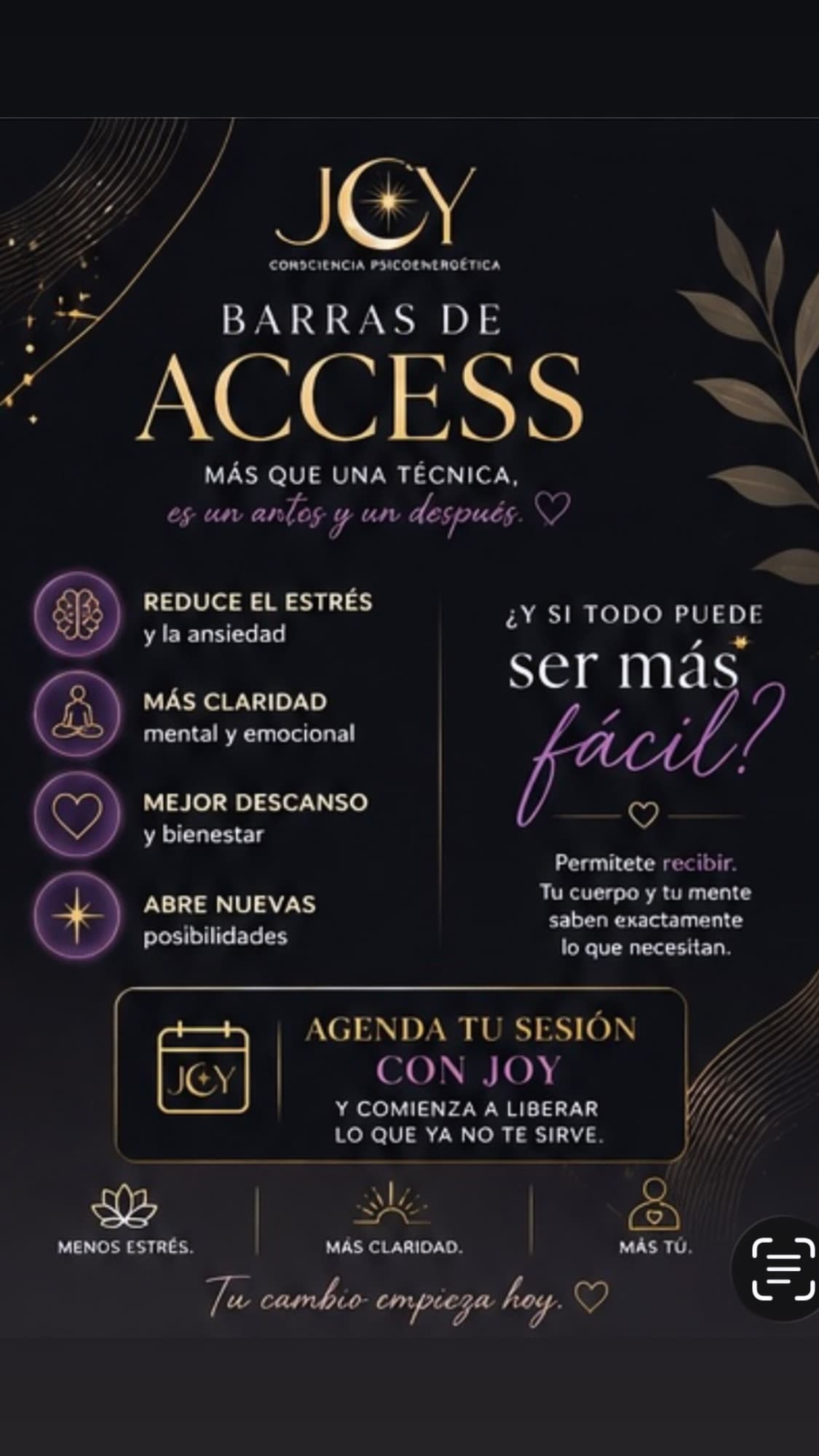 Imagen 2 de Joy Hernandez
